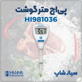 اسیدسنج گوشت HI981036 با الکترود مخصوص گوشت