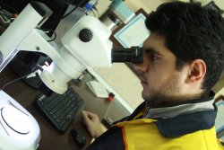 تصاویر آزمایشگاه اکرودیته بهسیم