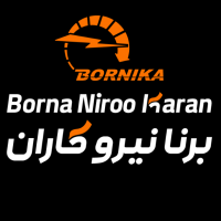 برنا نیروکاران